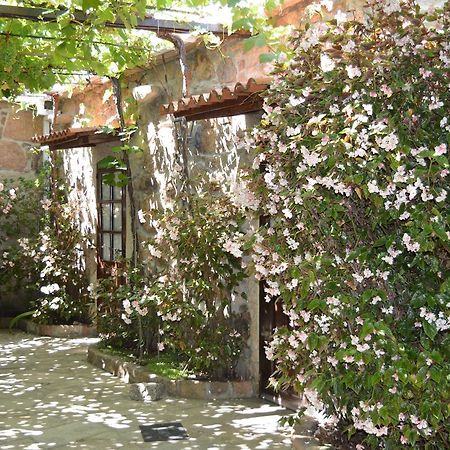 Гостевой дом Casa Loureiro Кальдас-де-Рейес Экстерьер фото